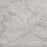 Adonis Porcelain Paradiso Argento Tile Polished 1