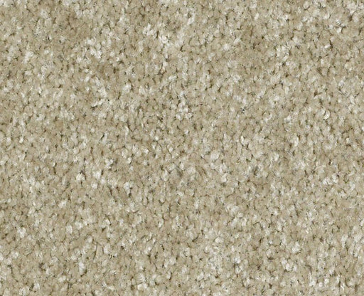 Time Swept Nylon Adonis 135 Area Rug LR060 Textured 1