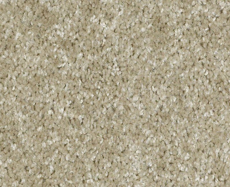Parkshore Nylon Adonis 00135 Area Rug E0683 Textured 1