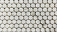 Alabama White Honed Marble Mosaic - 3/4" Penny Round Honed