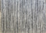Pet 58903 Area Rug Textured 2