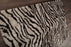 Wool 5604 Area Rug Textured 3
