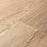 Antiquity Vinyl Memento Vinyl Plank Low Gloss 4
