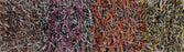 Polyester 14301 Area Rug Textured 5