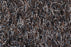 Polyester 14303 Area Rug Textured 3