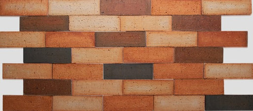 Atacama Textured Clay Veneer - 2.75" x 10" x 0.31"