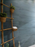 Atlantis Ocean Ceramic Tile - Matte 4