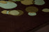 Wool 6109 Area Rug Textured 4