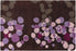 Wool 6114 Area Rug Textured 2