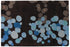 Wool 6116 Area Rug Textured 2