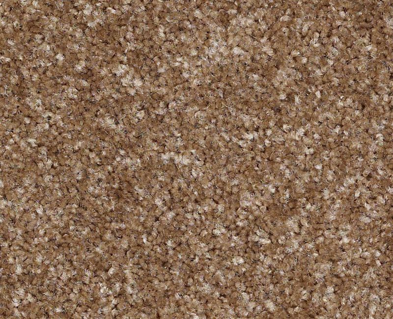 Elizabethton Nylon Bannister 732 Area Rug S005U Textured 1
