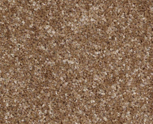 Lake Stevens Nylon Bannister 732 Area Rug S11SF Textured 1