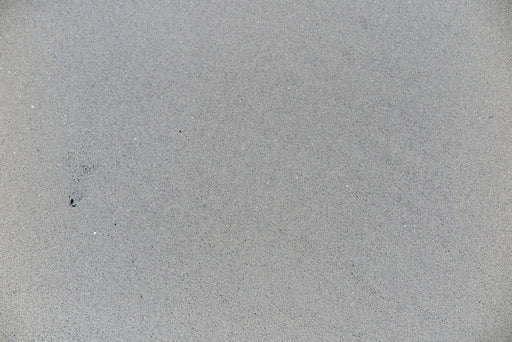 Full Tile Sample - Basalt Gray Basalt Tile - 12" x 24" x 3/8" Honed