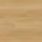 Everlife LVT Nove Plus Fallonton Dryback Luxury Vinyl Plank Flooring - Low Gloss