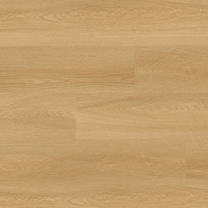 Everlife LVT Nove Hyde Heaven Dryback Luxury Vinyl Plank Flooring - Low Gloss