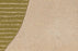 Wool 3024 Area Rug Textured 3