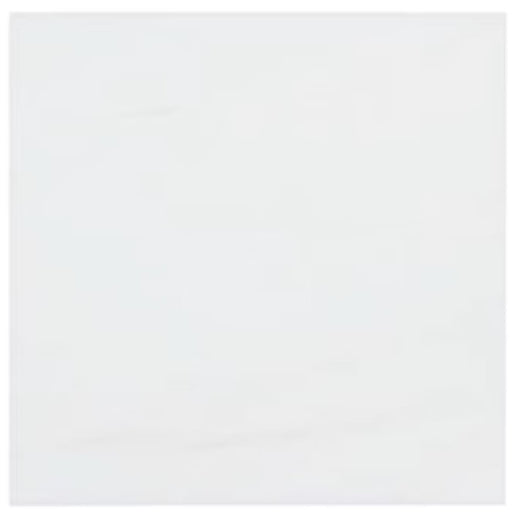 Bianco Dolomite Premium Marble Tile Polished 1