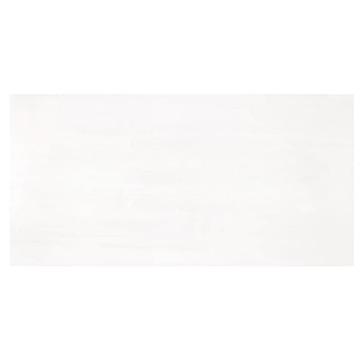 Full Tile Sample - Bianco Dolomite Standard Marble Tile - 24" x 24" x 3/8" Honed