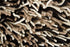 Wool 20800 Area Rug Textured 5