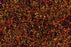 Polyester 29402 Area Rug Textured 4