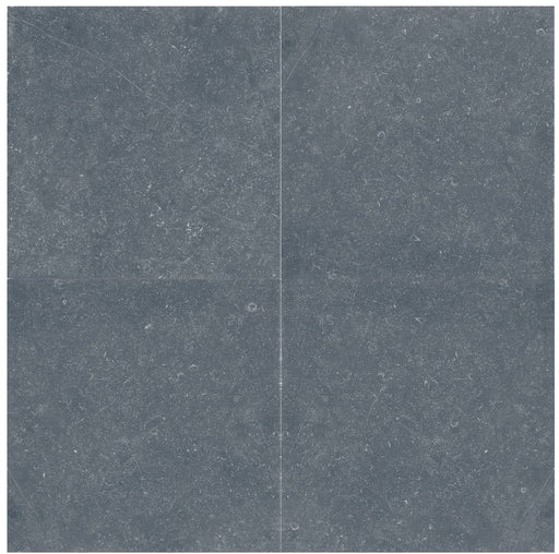 Bluestone Dark Grey Porcelain Paver Rough 1