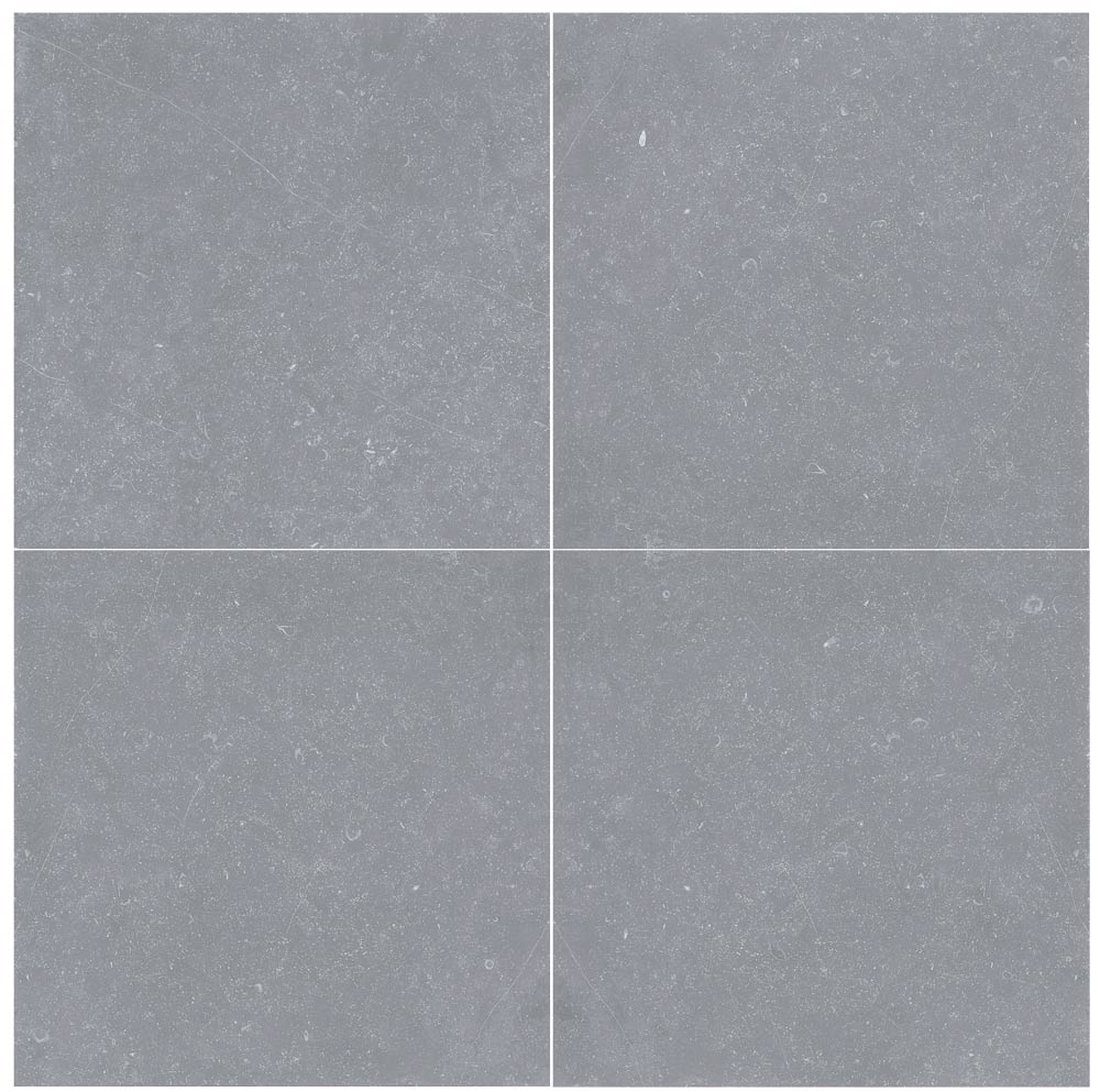 Bluestone Light Grey Porcelain Paver Rough 1