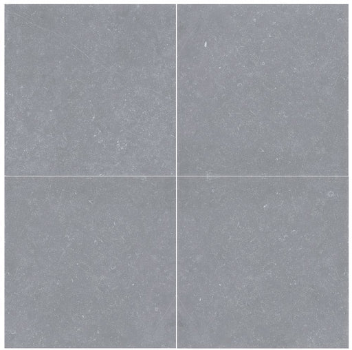 Bluestone Light Grey Porcelain Paver Rough 1