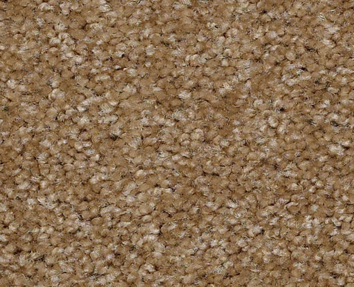 Fast Lane Nylon Braided 707 Area Rug WF177 1
