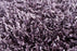 Polyester 23102 Area Rug Textured 3