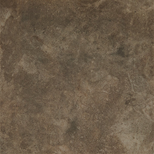 National Account Porcelain Brown with Stepwise N052 Tile Smooth 1