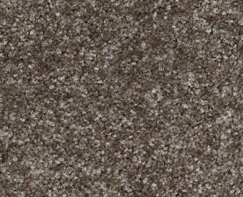 Victory Nylon Bunkhouse 00742 Area Rug E0590 Textured 1
