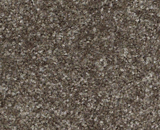 Jasper Hollow Nylon Bunkhouse 00742 Area Rug A415S Textured 1