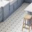 Vaudeville Porcelain Octagon Deco Diglas with Taco Azzuro Tile Matte 2