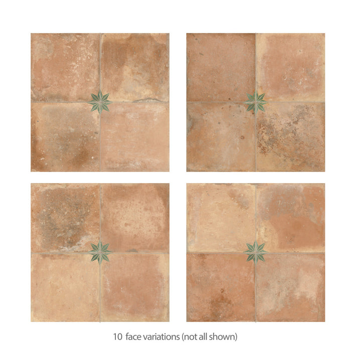 Kings Porcelain Nonna with Sage Star Tile Mixed 4
