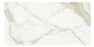 Calacatta Gold Honed Marble Tile - 3" x 12" x 3/8"