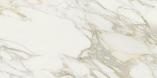 Calacatta Gold Matte Porcelain Tile - 24" x 48" x 3/8"