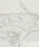 Calacatta Vida Marble Tile - Honed