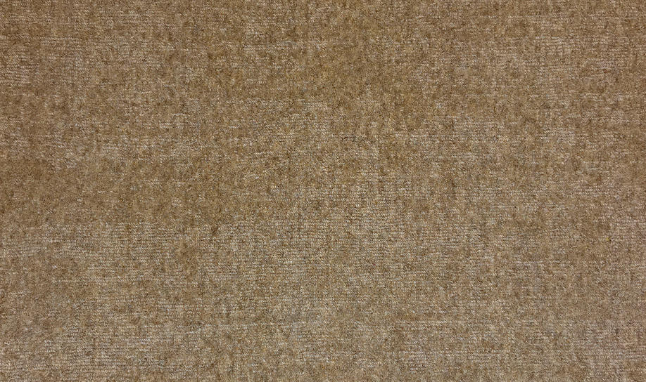 Cambria Wool Ash ASH Carpet Textured 1