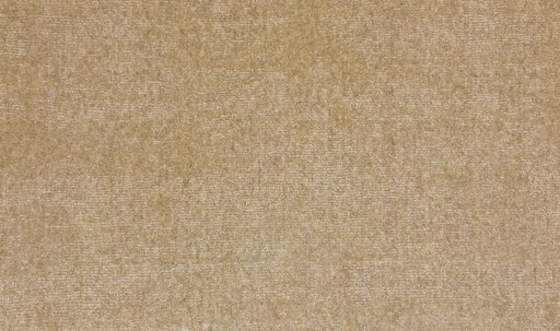 Cambria Wool Suede SUEDE Carpet Textured 1