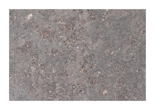 Full Tile Sample - Caracas Blue Limestone Tile - 16" x 24" x 5/8" Antique & Brushed