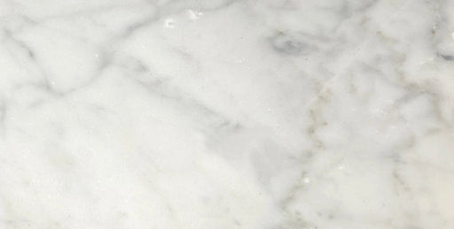 Full Tile Sample - Carrara Venatino Marble Tile - 12" x 24" x 3/8" Honed