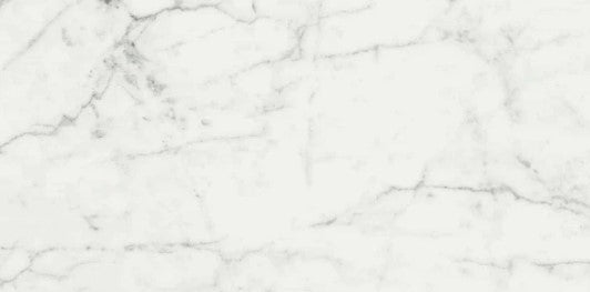 Full Tile Sample - Carrara Cerim Porcelain Tile - 12" x 24" x 1/3" Honed