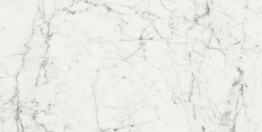 Full Tile Sample - Carrara Cerim Porcelain Tile - 12" x 24" x 1/3" Polished