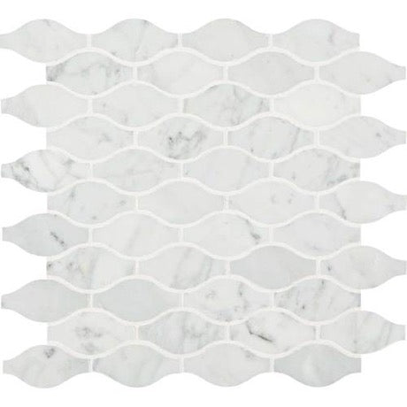 Marble Carrara White M701 Mosaic Polished 1
