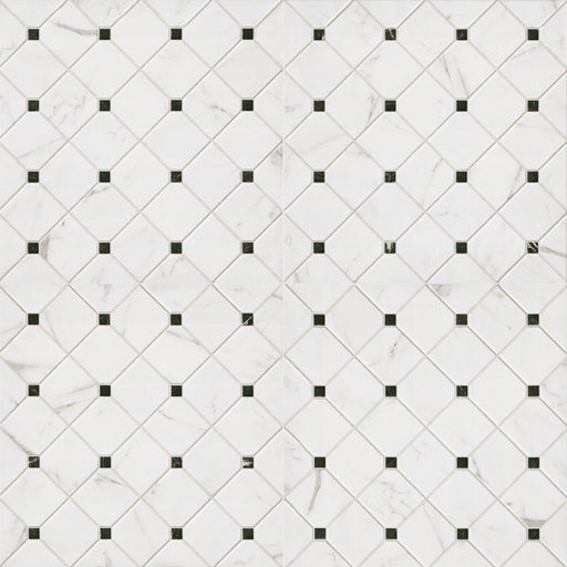 Casa Porcelain Bianchi Tile Matte 1