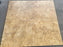 Cathedral Beige Porcelain Tile - Matte
