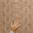 Laverton Porcelain Taco Natural Tile Matte 7