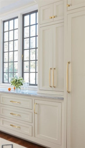 Renown Zinc Champagne Bronze Appliance Pull 8