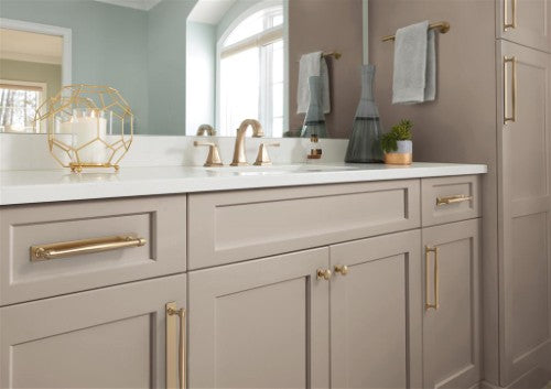 Ladera Zinc Champagne Bronze Cabinet Backplate 5