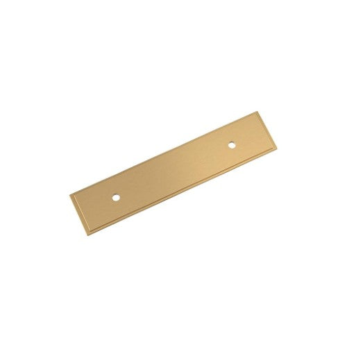 Maymont Zinc Champagne Bronze Cabinet Backplate 4